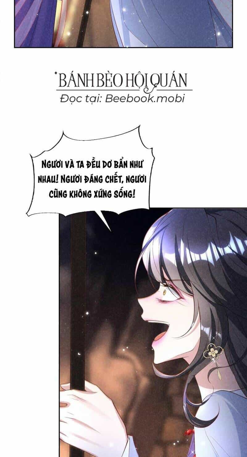 Bệnh Kiều Sư Đệ Lại Giả Vờ Đáng Thương - Chương 20 - ảnh 24