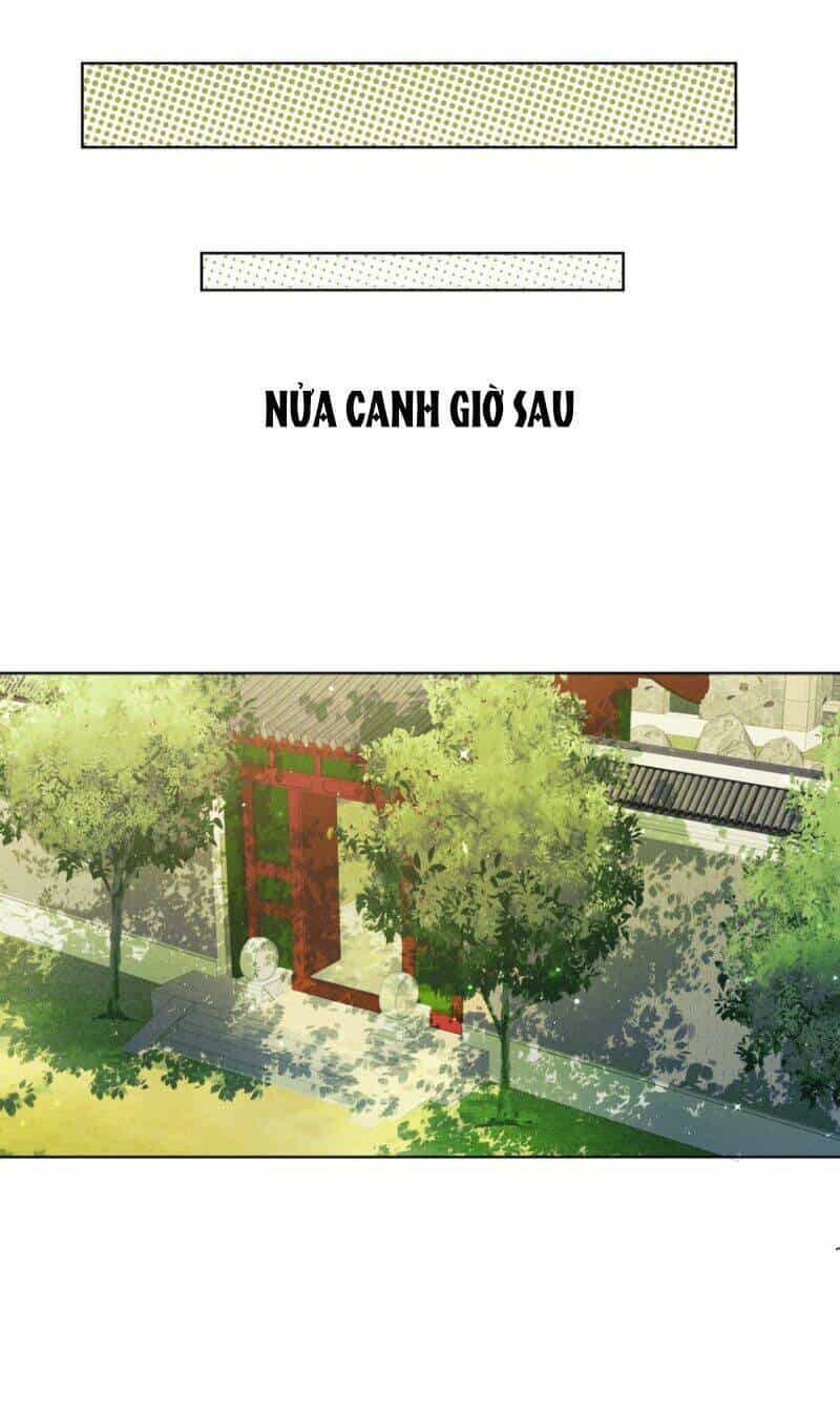 Bệnh Kiều Sư Đệ Lại Giả Vờ Đáng Thương - Chương 8 - ảnh 11
