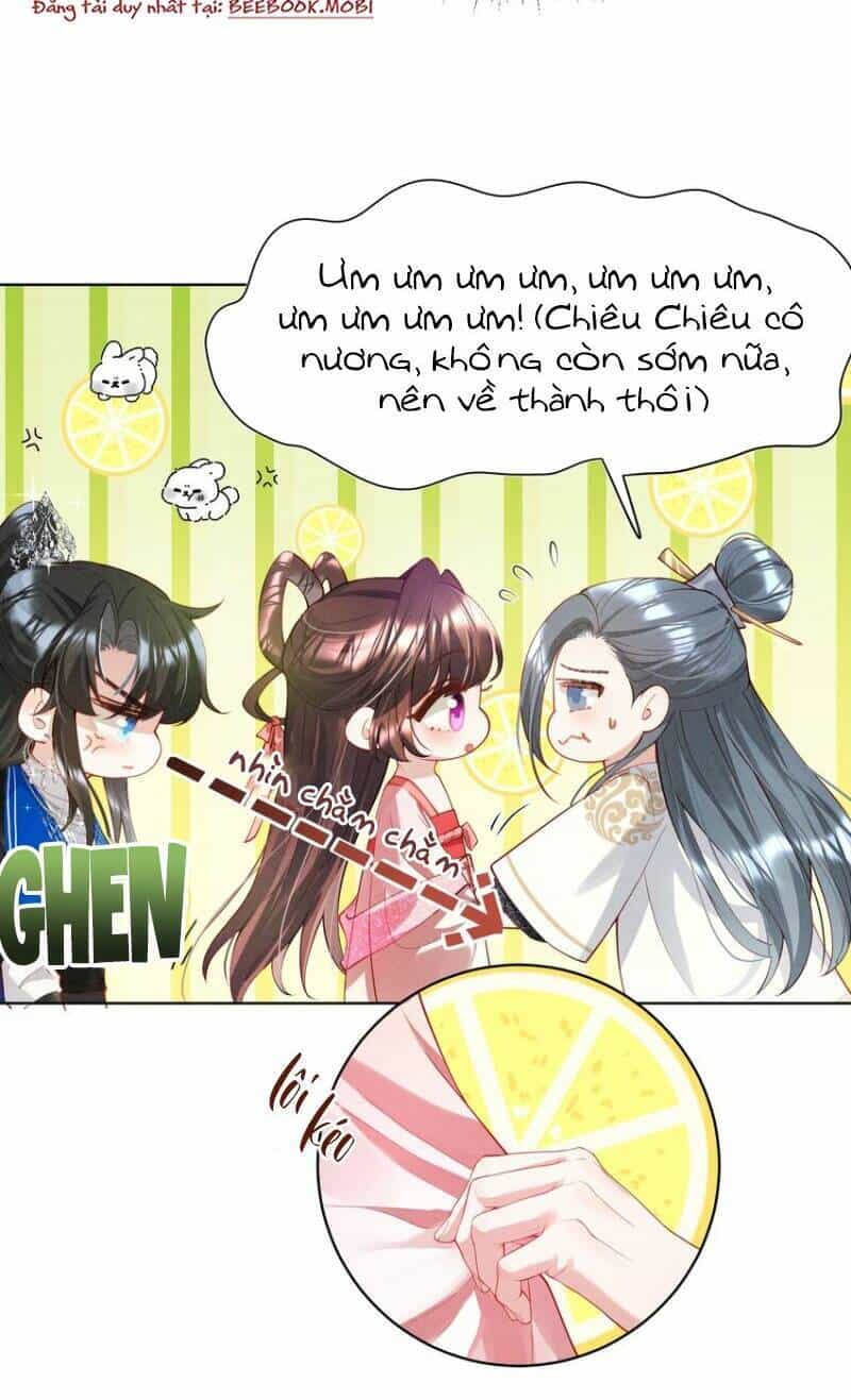 Bệnh Kiều Sư Đệ Lại Giả Vờ Đáng Thương - Chương 8 - ảnh 6