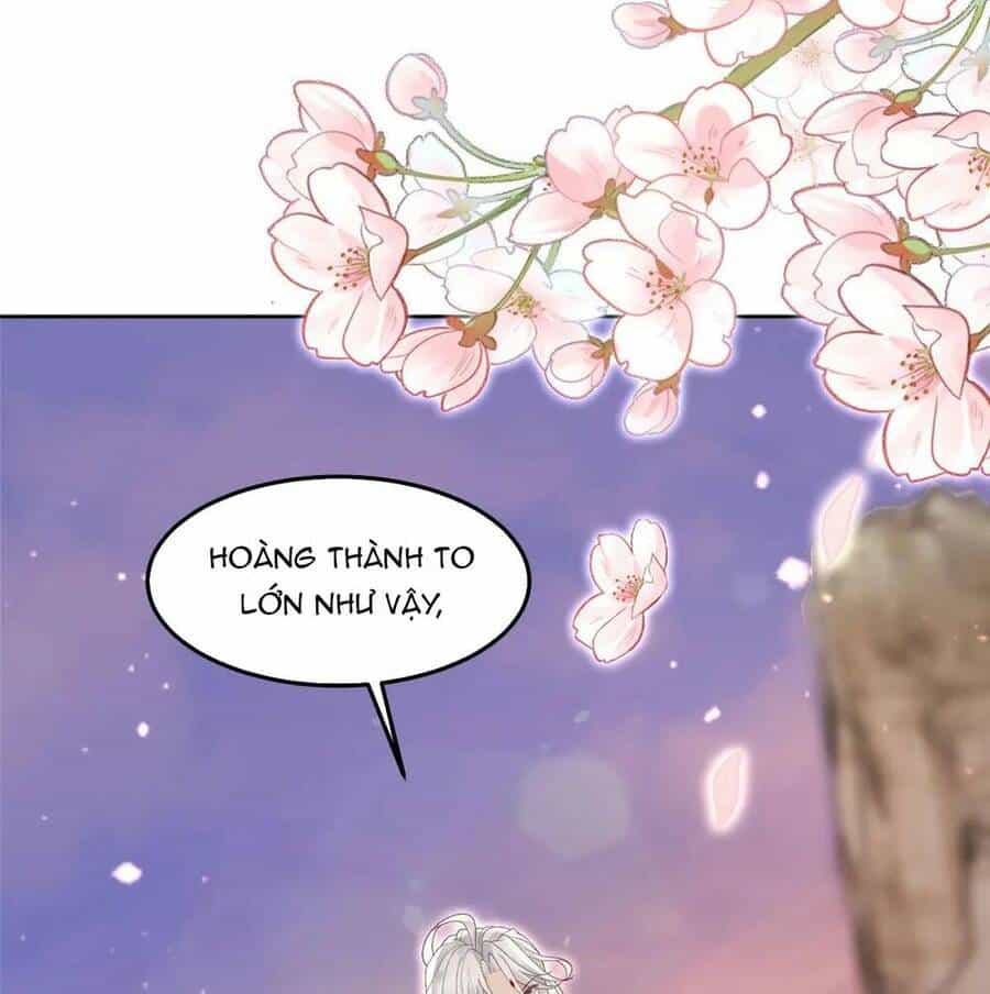 Bệnh Kiều Vương Gia Dựa Vào Ta Để Tiếp Tục Sống - Chương 62 - ảnh 28
