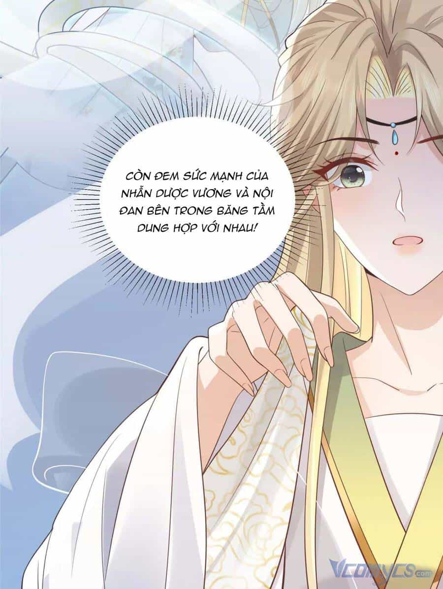 Bệnh Kiều Vương Gia Dựa Vào Ta Để Tiếp Tục Sống - Chương 73 - ảnh 3