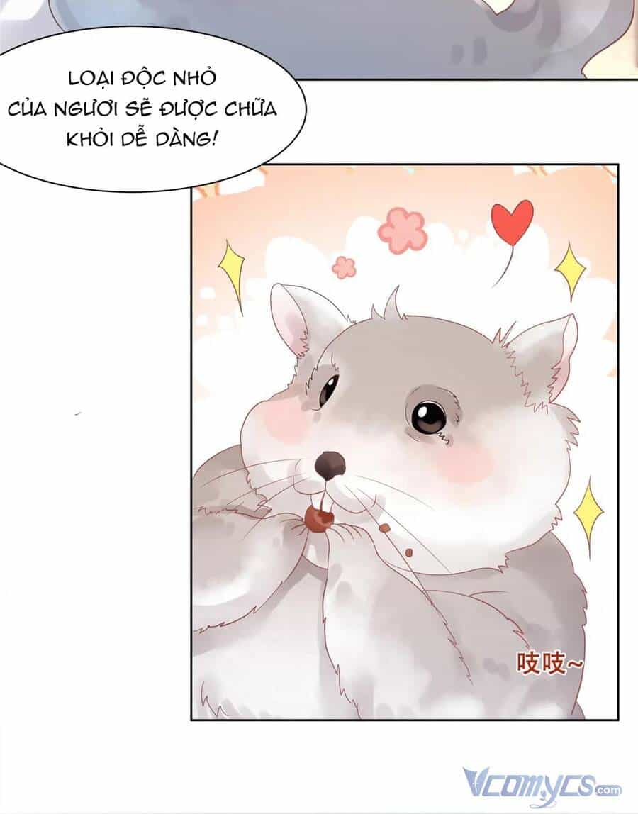 Bệnh Kiều Vương Gia Dựa Vào Ta Để Tiếp Tục Sống - Chương 89 - ảnh 16