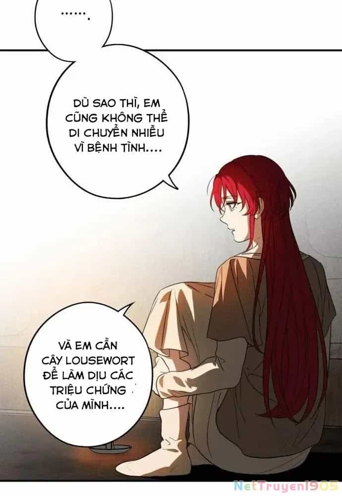 Bị Che Khuất Bởi Mặt Trời Lặn - Chương 141 - ảnh 2