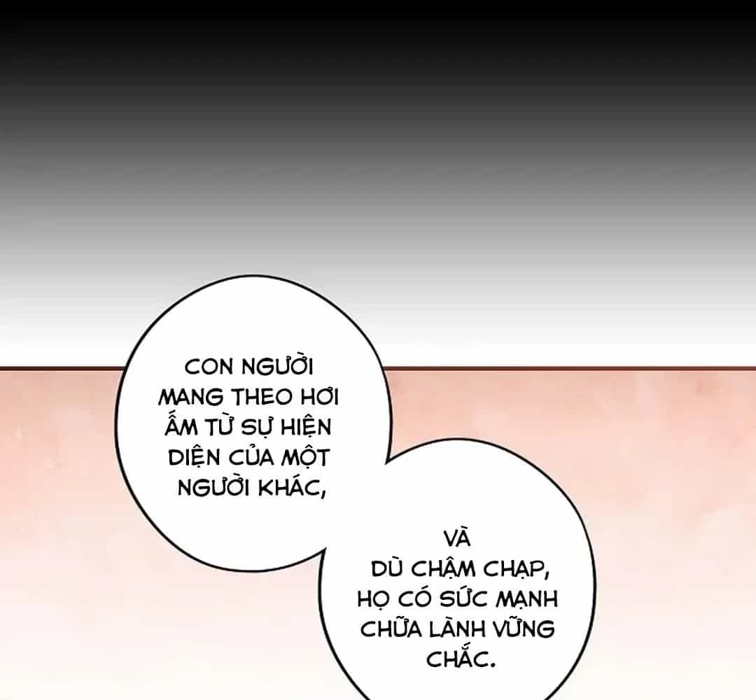 Bị Che Khuất Bởi Mặt Trời Lặn - Chương 180 - ảnh 82