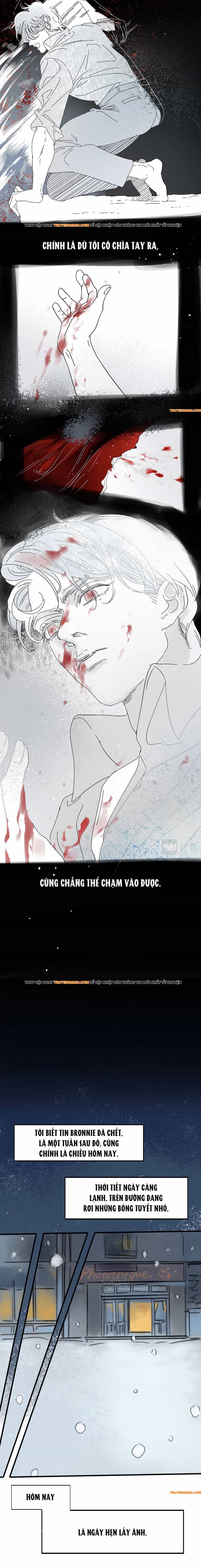 Bi Kịch Nàng Dâu Hoa Hồng - Chương 1 - ảnh 11