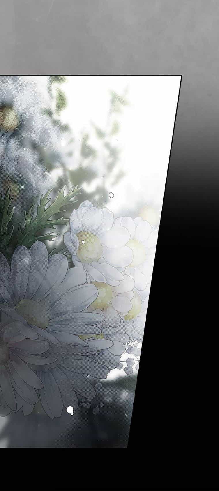 Bí Mật Của Quý Cô - Chương 74.1 - ảnh 6