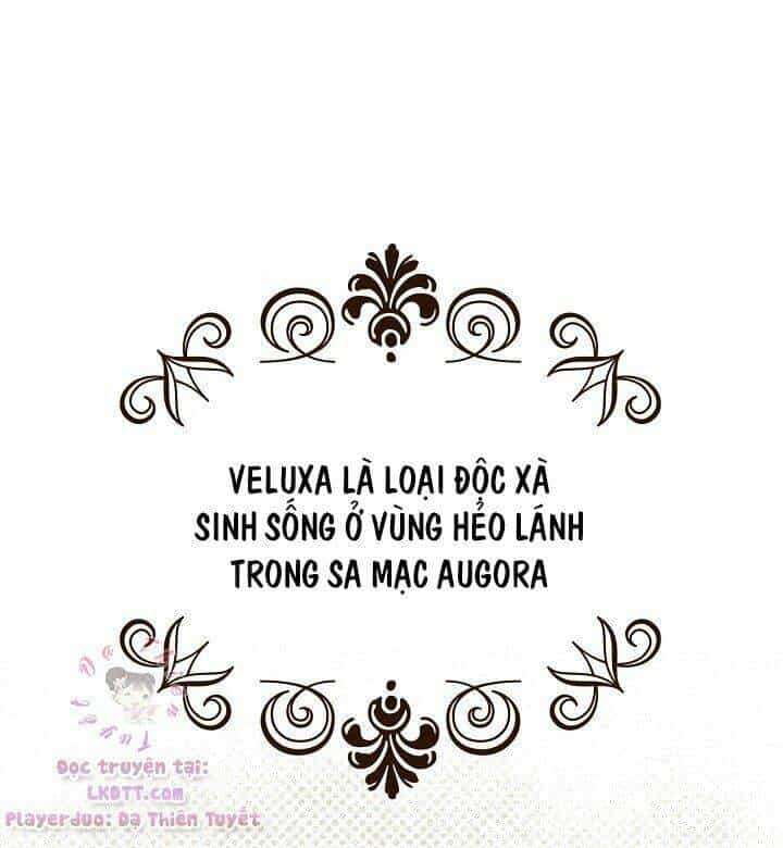 Bí Mật Của Quý Cô - Chương 15 - ảnh 21