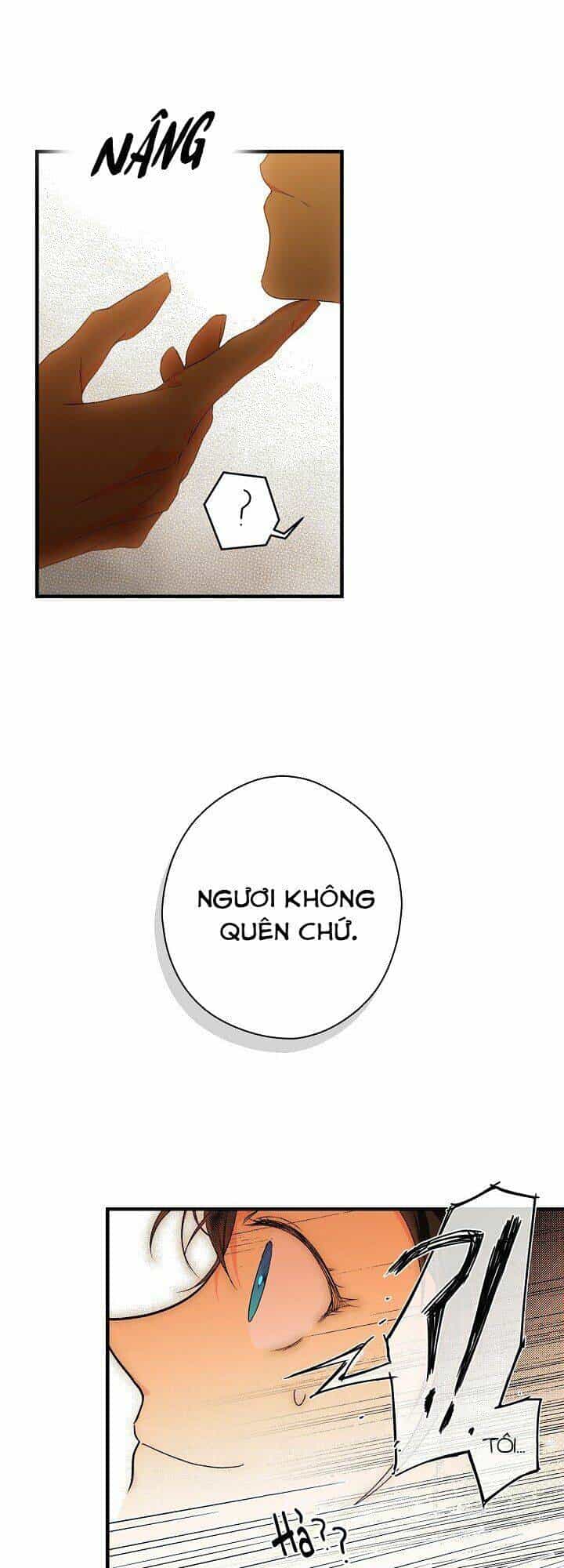 Bí Mật Của Quý Cô - Chương 16 - ảnh 8