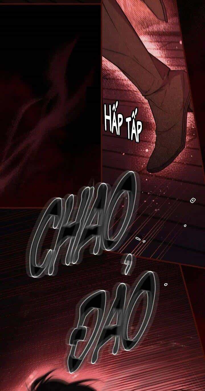 Bí Mật Của Quý Cô - Chương 34 - ảnh 6