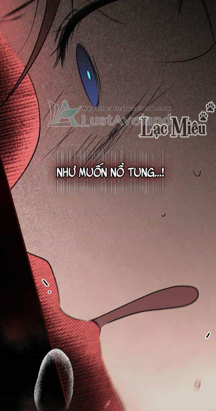 Bí Mật Của Quý Cô - Chương 34 - ảnh 8