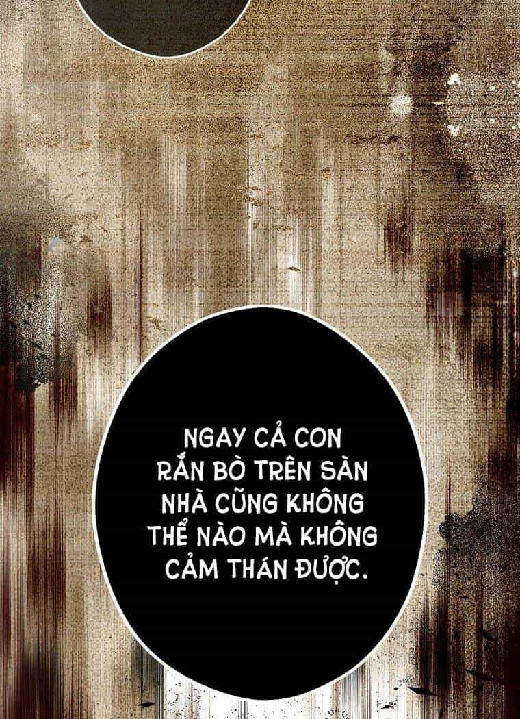 Bí Mật Của Quý Cô - Chương 55 - ảnh 22