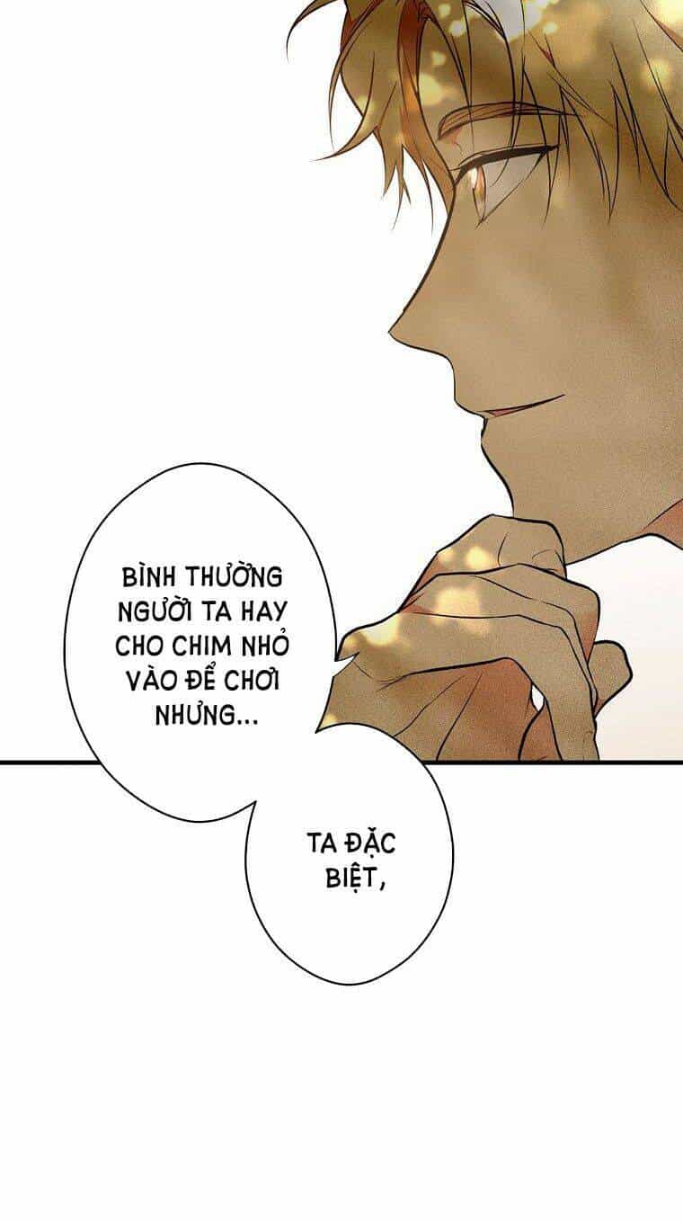 Bí Mật Của Quý Cô - Chương 55 - ảnh 25