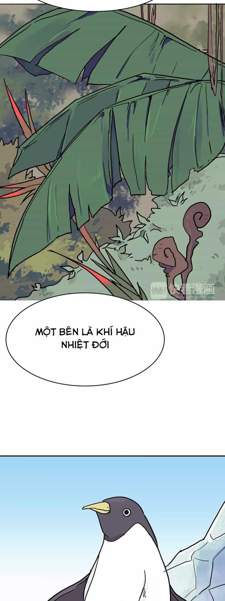 Bí Mật Đảo Ngọc Dương - Chương 2 - ảnh 15