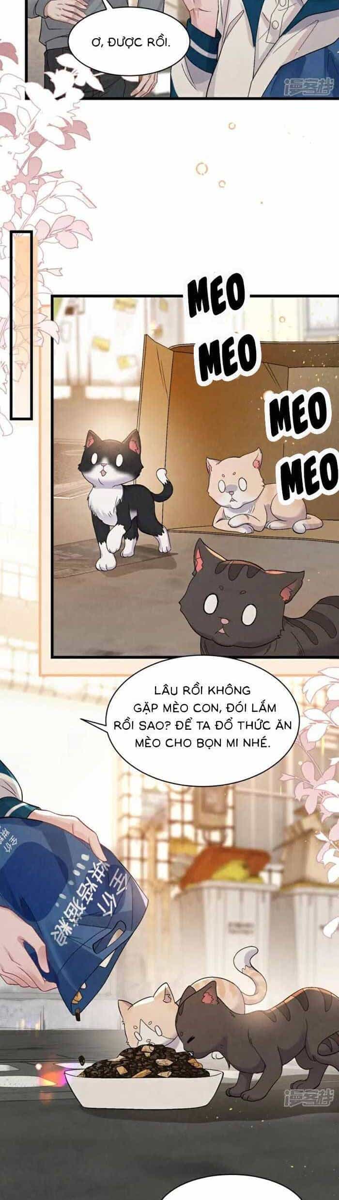 Bí Mật Nhỏ Của Ngỗng Trắng - Chương 12 - ảnh 34