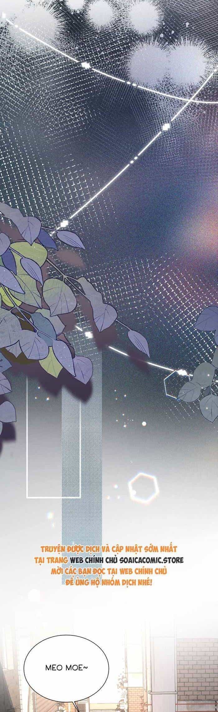 Bí Mật Nhỏ Của Ngỗng Trắng - Chương 6 - ảnh 13