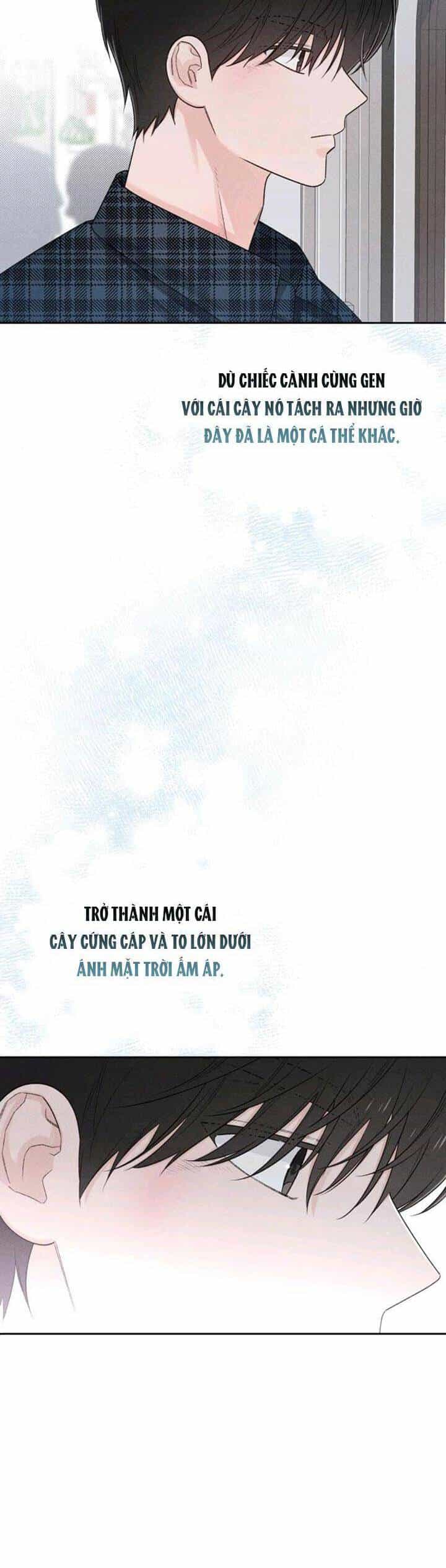 Bí Mật Thanh Xuân - Chương 66 - ảnh 20