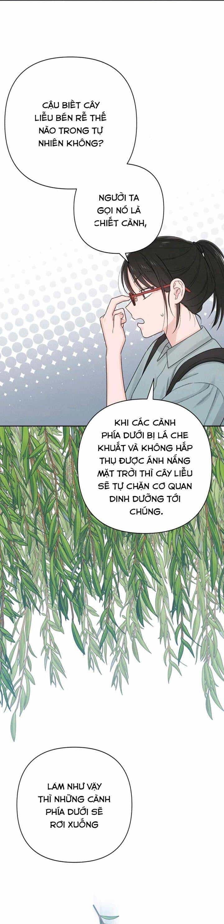 Bí Mật Thanh Xuân - Chương 66 - ảnh 8