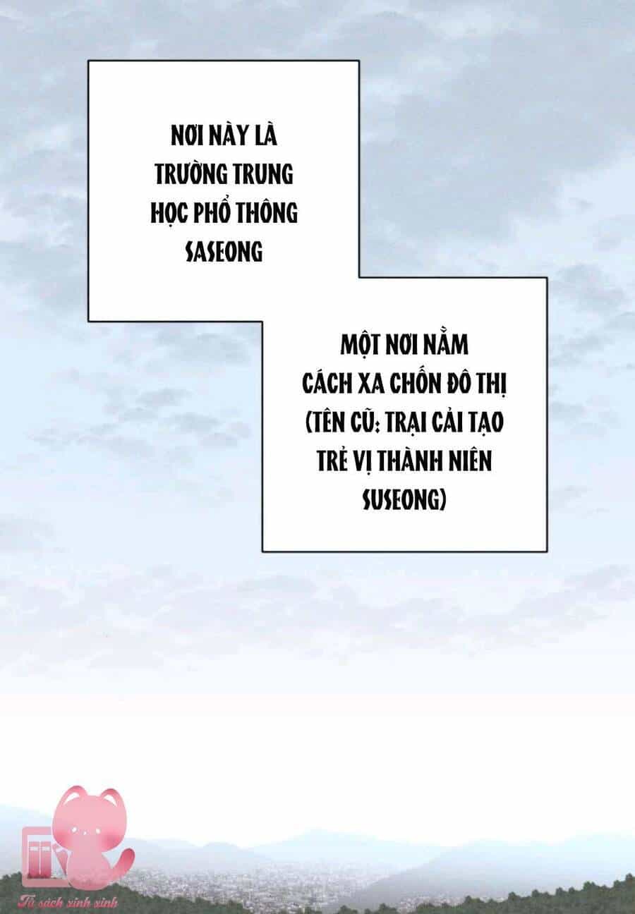 Bí Mật Thanh Xuân - Chương 87 - ảnh 4