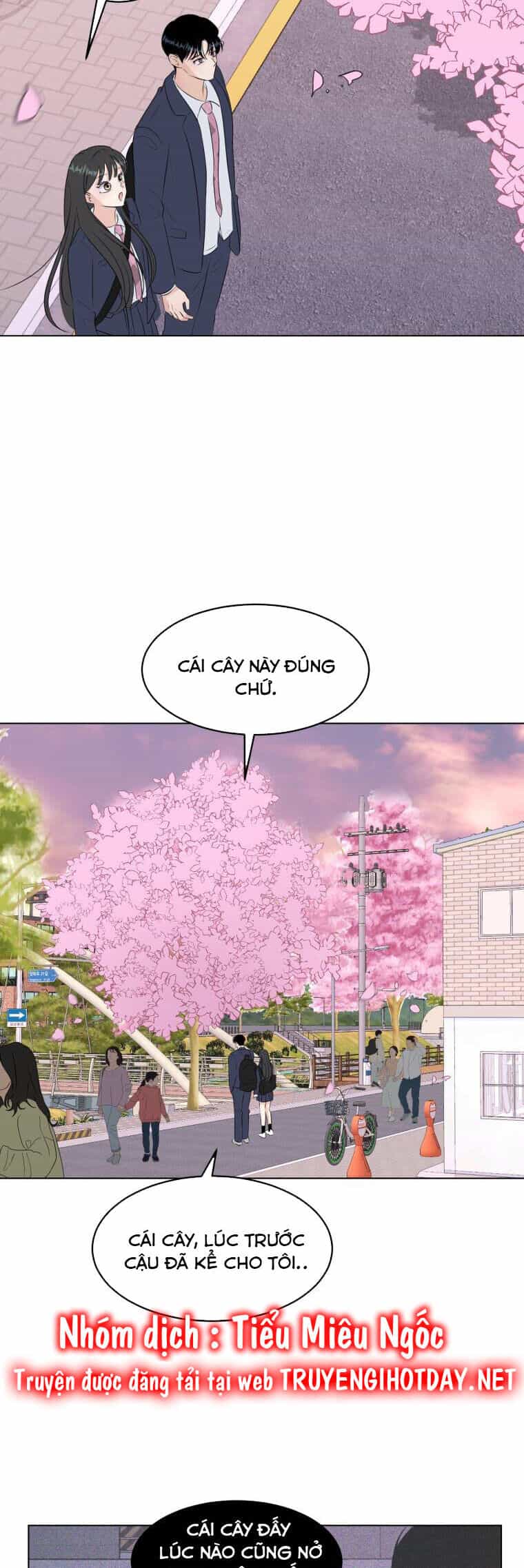 Bí Mật Tình Yêu Tuổi Thanh Xuân - Chương 28 - ảnh 3