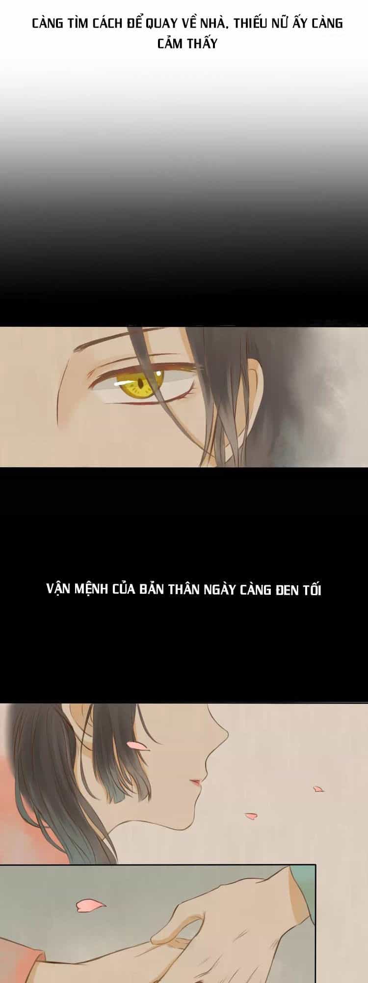 Bình Minh Của Ngũ Nguyệt - Chương 0 - ảnh 9