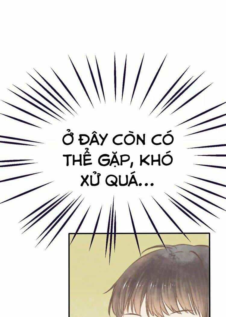 Bình Minh Của Ngũ Nguyệt - Chương 11 - ảnh 9