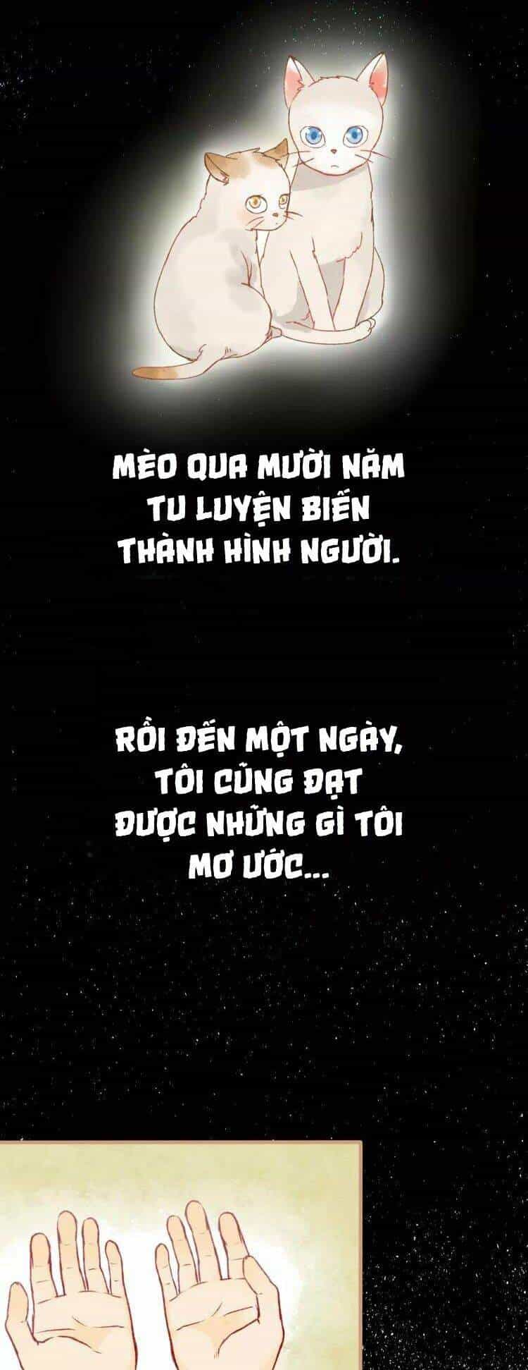 Bình Minh Của Ngũ Nguyệt - Chương 12 - ảnh 27