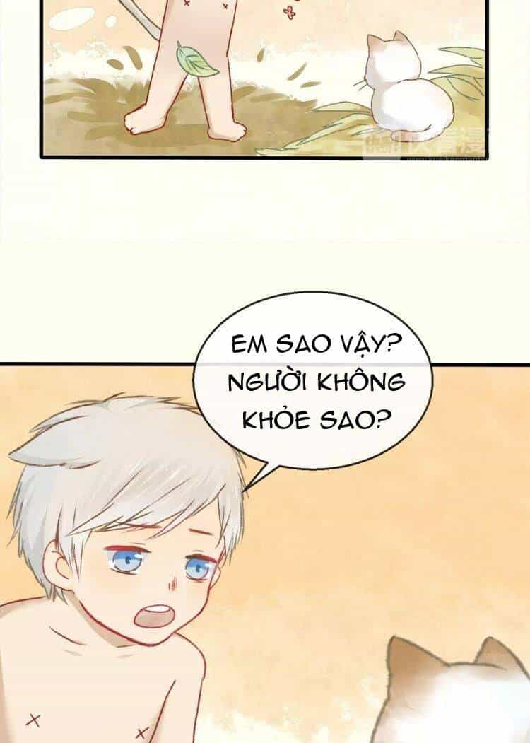 Bình Minh Của Ngũ Nguyệt - Chương 12 - ảnh 29