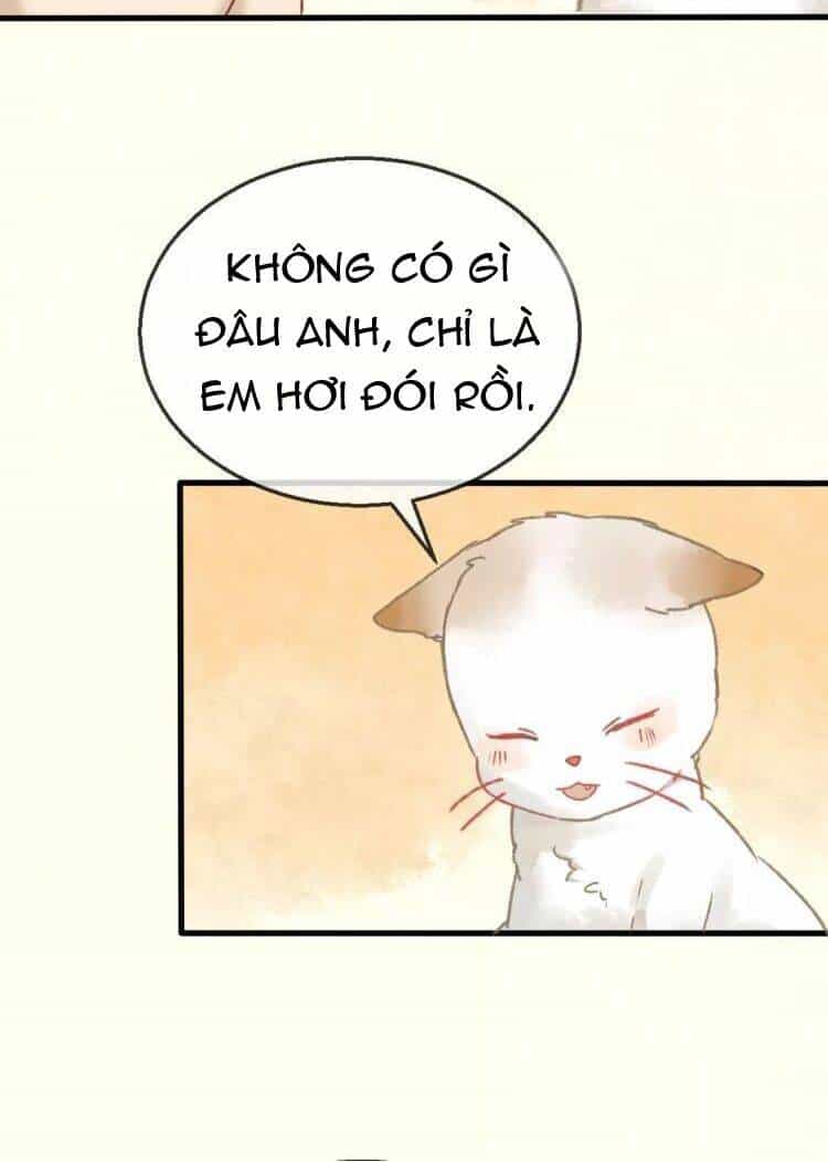 Bình Minh Của Ngũ Nguyệt - Chương 12 - ảnh 30