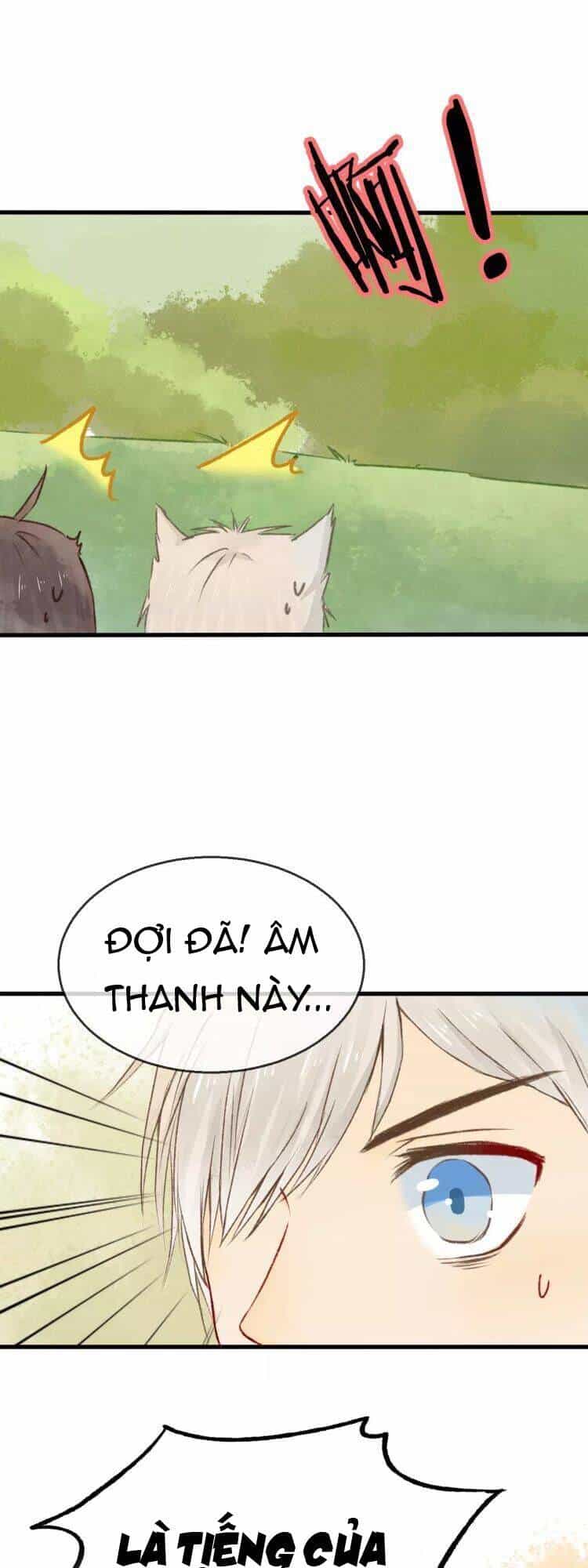 Bình Minh Của Ngũ Nguyệt - Chương 13 - ảnh 6