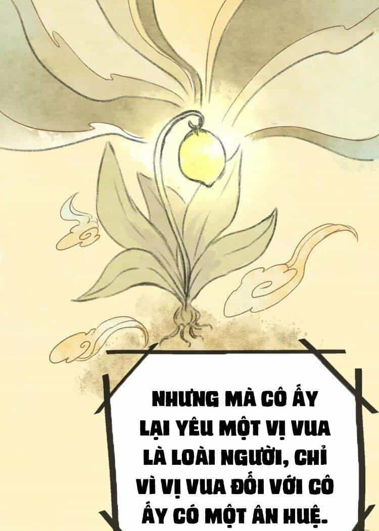 Bình Minh Của Ngũ Nguyệt - Chương 14 - ảnh 19