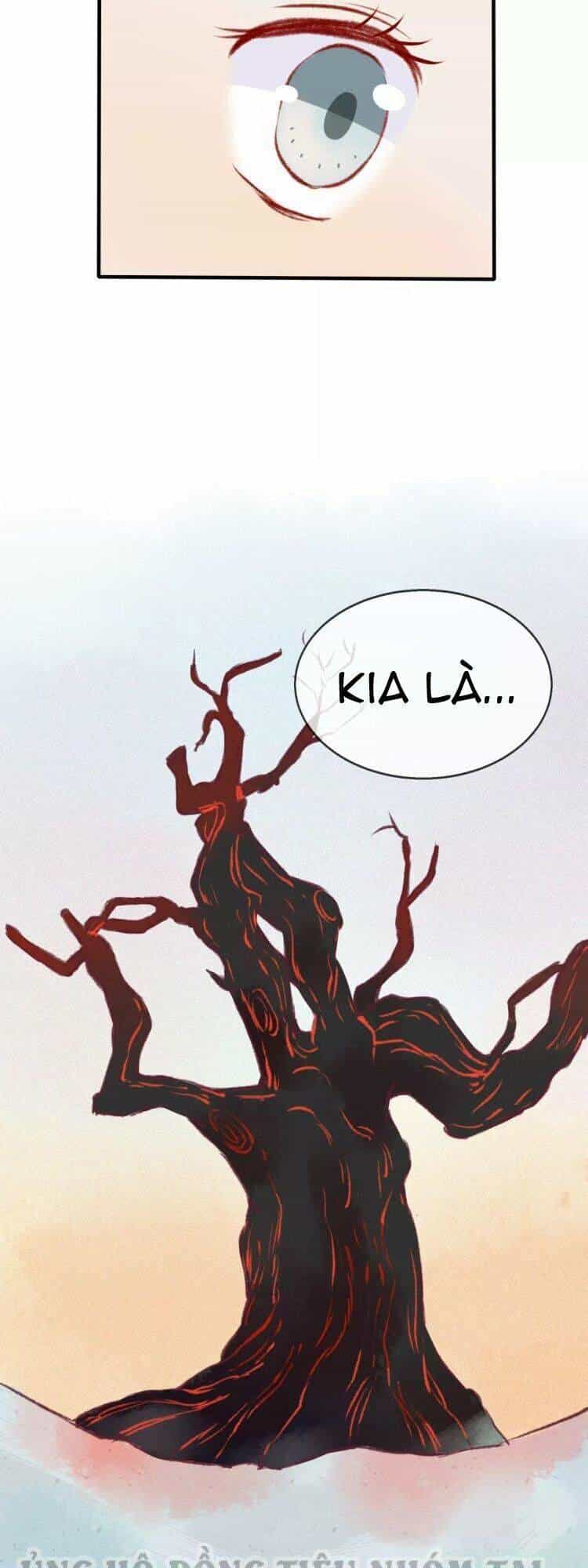 Bình Minh Của Ngũ Nguyệt - Chương 15 - ảnh 25