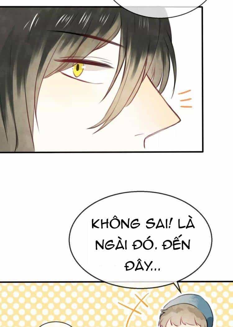 Bình Minh Của Ngũ Nguyệt - Chương 18 - ảnh 11