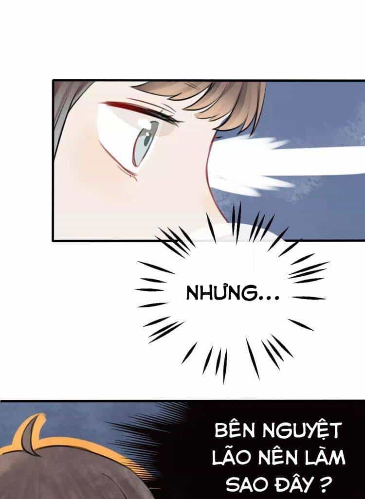 Bình Minh Của Ngũ Nguyệt - Chương 18 - ảnh 6