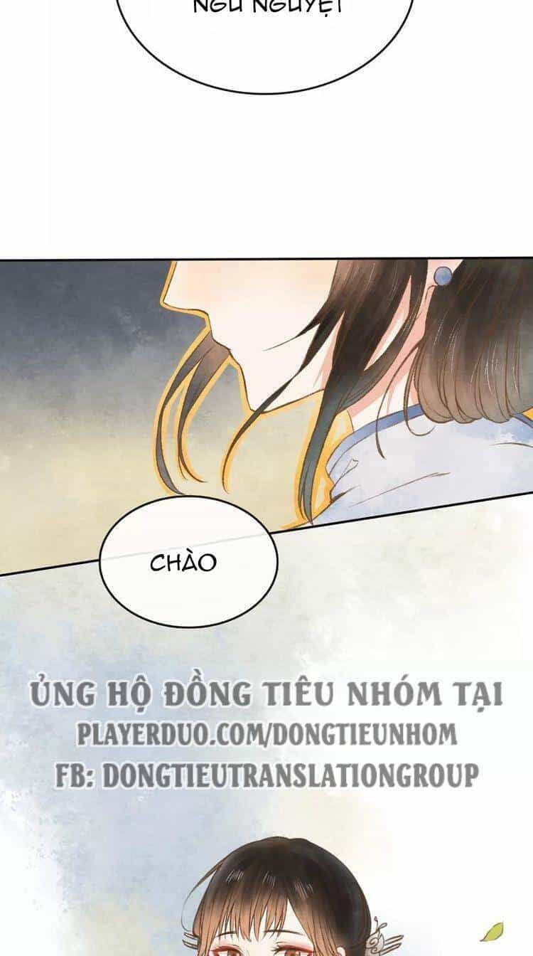 Bình Minh Của Ngũ Nguyệt - Chương 7 - ảnh 12