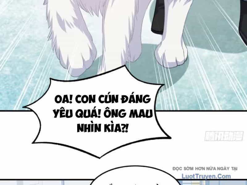 Bỏ Làm Simp Chúa, Ta Có Trong Tay Cả Tỉ Thần Hào - Chương 253 - ảnh 102