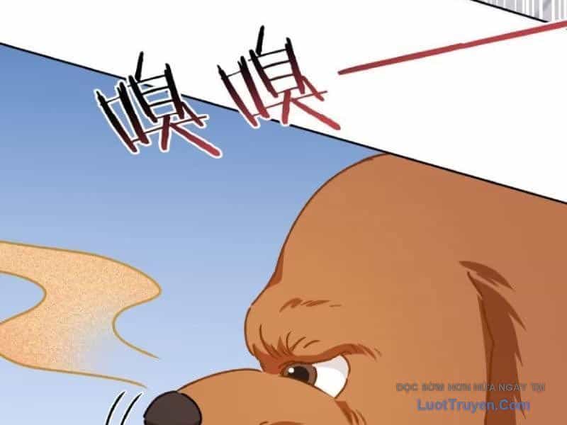Bỏ Làm Simp Chúa, Ta Có Trong Tay Cả Tỉ Thần Hào - Chương 253 - ảnh 77