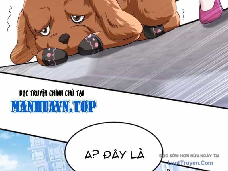 Bỏ Làm Simp Chúa, Ta Có Trong Tay Cả Tỉ Thần Hào - Chương 254 - ảnh 10