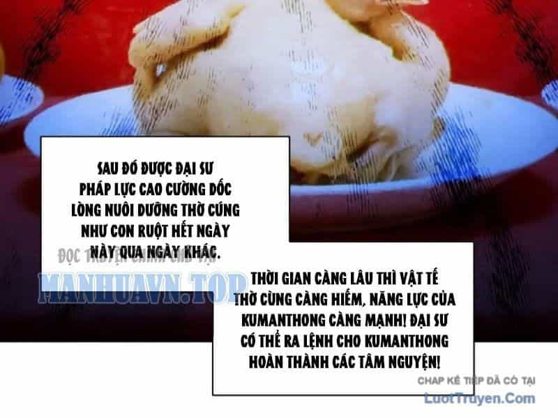 Bỏ Làm Simp Chúa, Ta Có Trong Tay Cả Tỉ Thần Hào - Chương 259 - ảnh 15