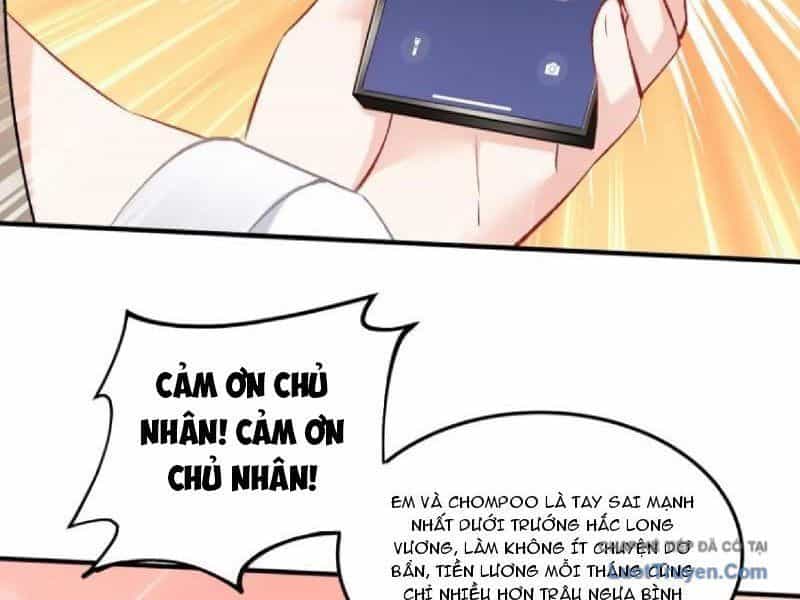 Bỏ Làm Simp Chúa, Ta Có Trong Tay Cả Tỉ Thần Hào - Chương 259 - ảnh 25