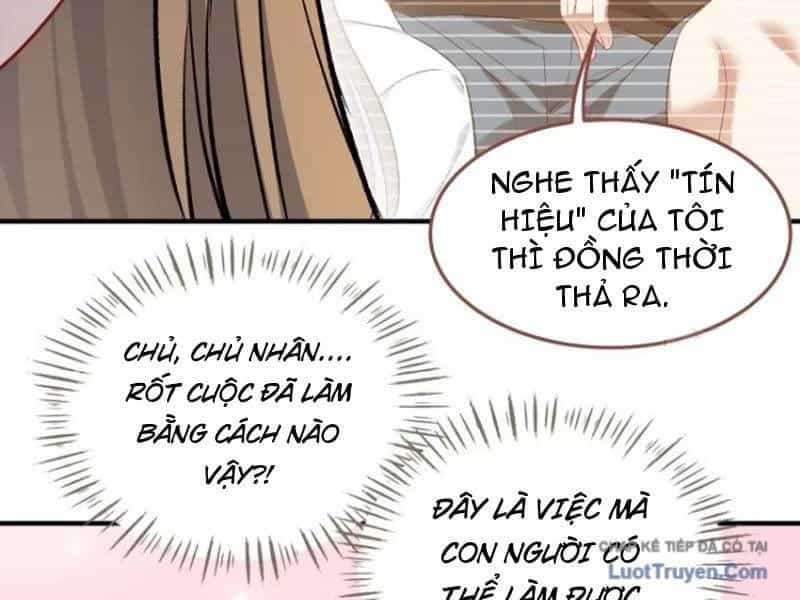 Bỏ Làm Simp Chúa, Ta Có Trong Tay Cả Tỉ Thần Hào - Chương 261 - ảnh 70