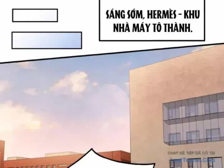 Bỏ Làm Simp Chúa, Ta Có Trong Tay Cả Tỉ Thần Hào - Chương 275 - ảnh 19