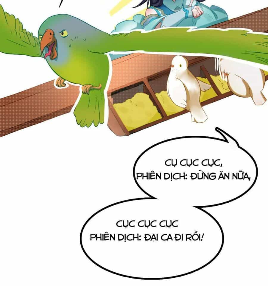 Bộ Tinh Ti Chi Nguyên Khởi - Chương 9 - ảnh 51