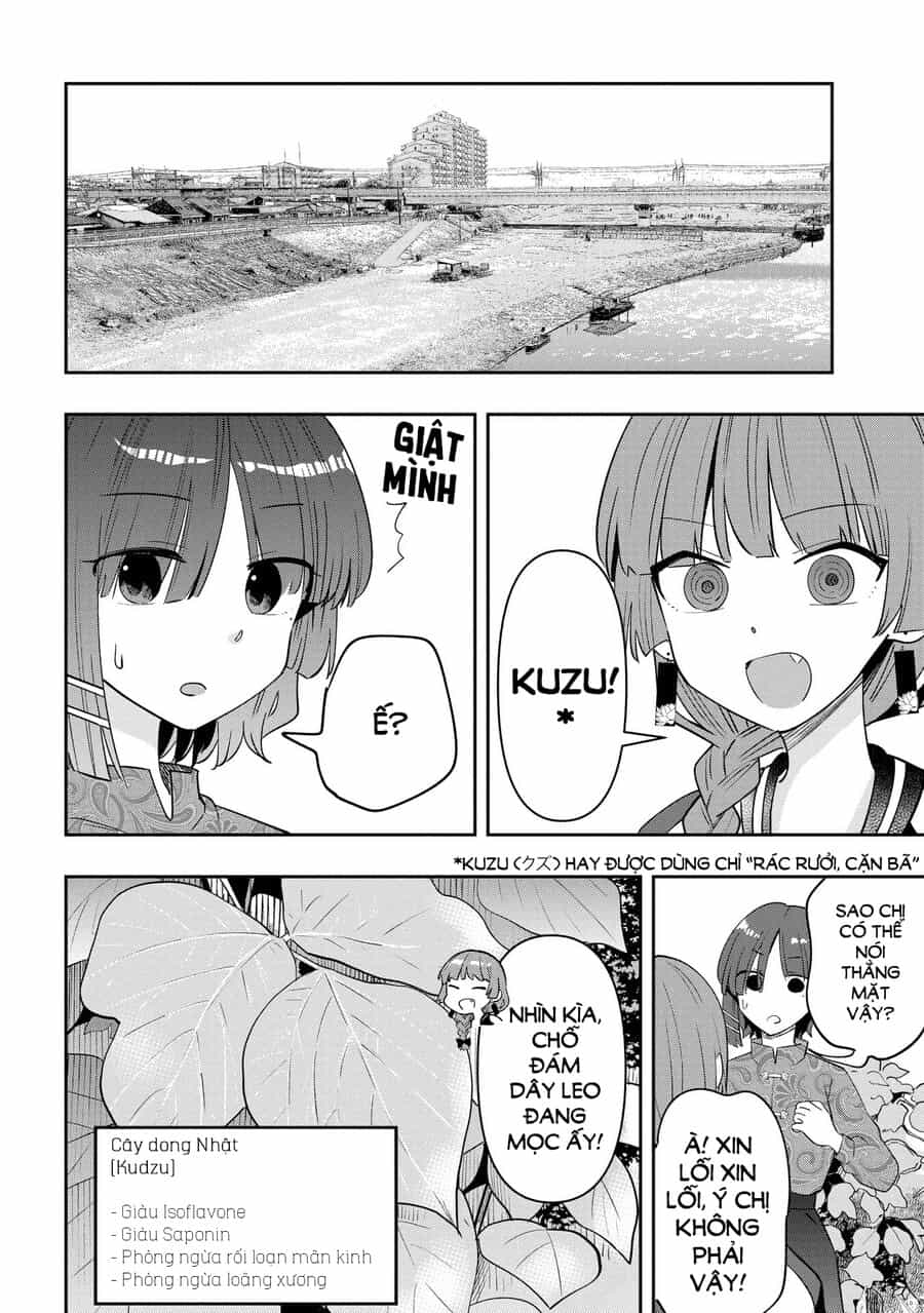 Bocchi The Rock! Ngoại Truyện: Nhật Ký Say Rượu Của Hiroi Kikuri - Chương 33 - ảnh 14