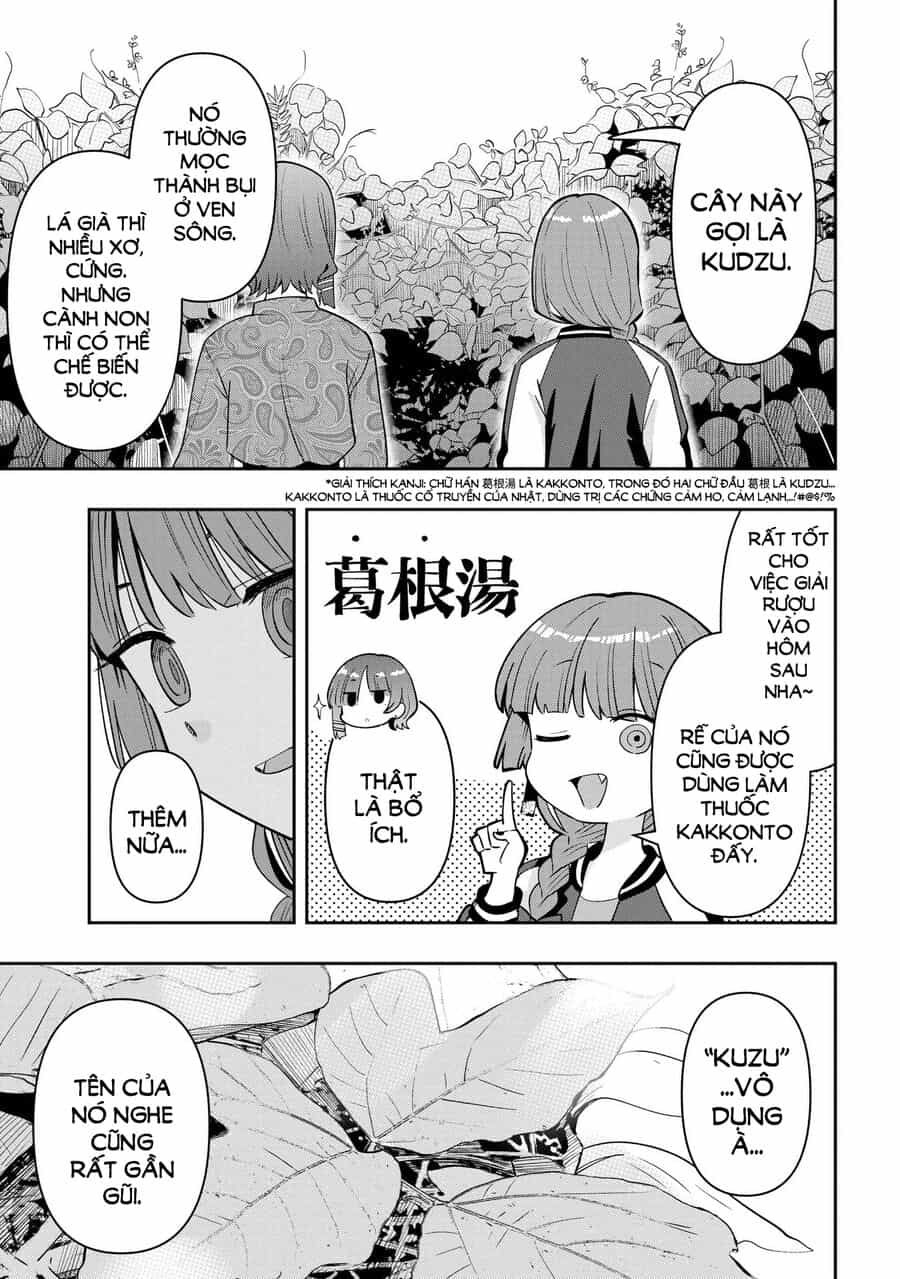 Bocchi The Rock! Ngoại Truyện: Nhật Ký Say Rượu Của Hiroi Kikuri - Chương 33 - ảnh 15
