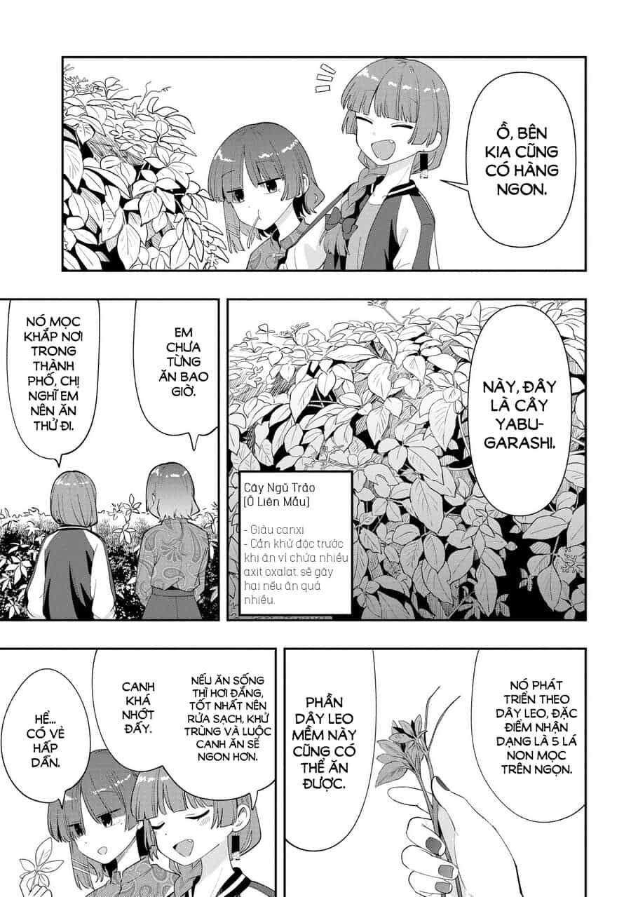 Bocchi The Rock! Ngoại Truyện: Nhật Ký Say Rượu Của Hiroi Kikuri - Chương 33 - ảnh 5