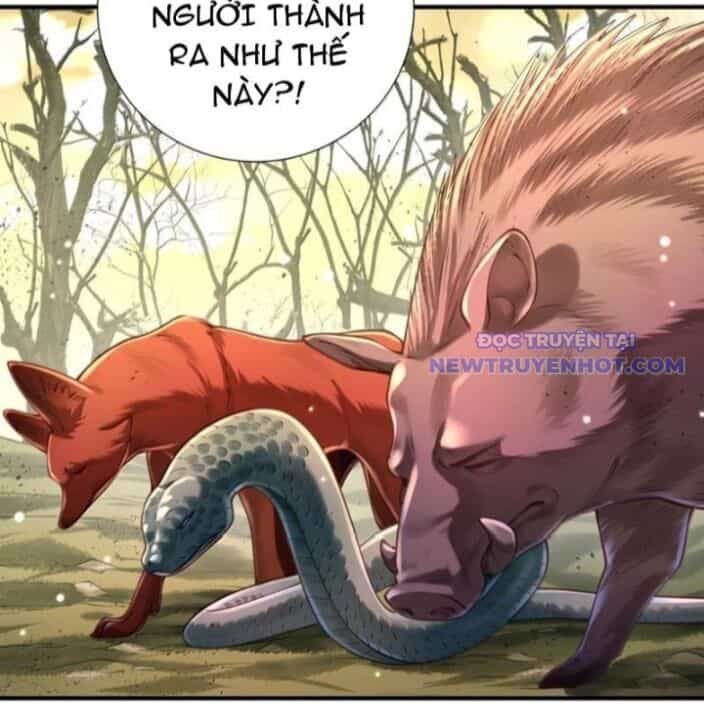 Bói Toán Mà Thôi, Cửu Vĩ Yêu Đế Sao Lại Thành Nương Tử Ta?! - Chương 72 - ảnh 29