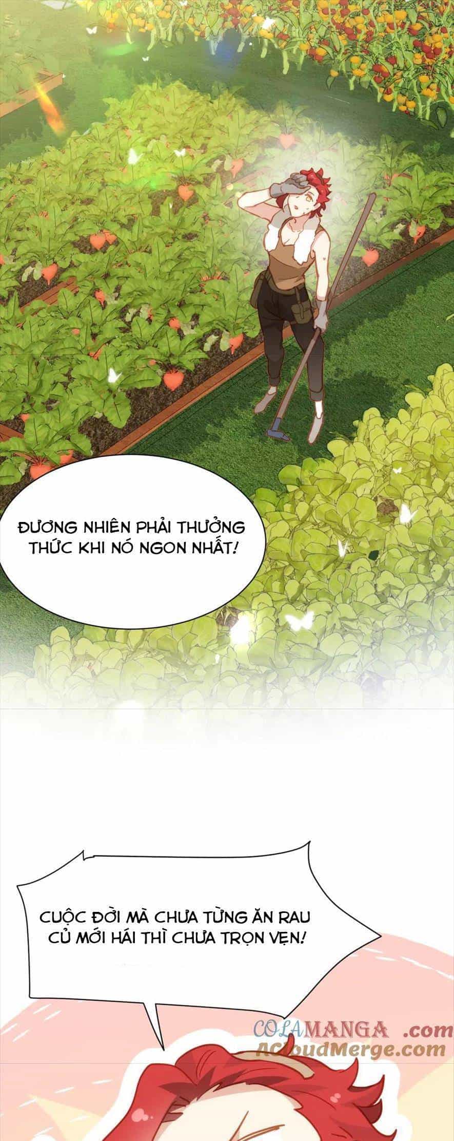 Bổn Công Chúa Không Muốn Được Chiều Chuộng - Chương 35 - ảnh 21