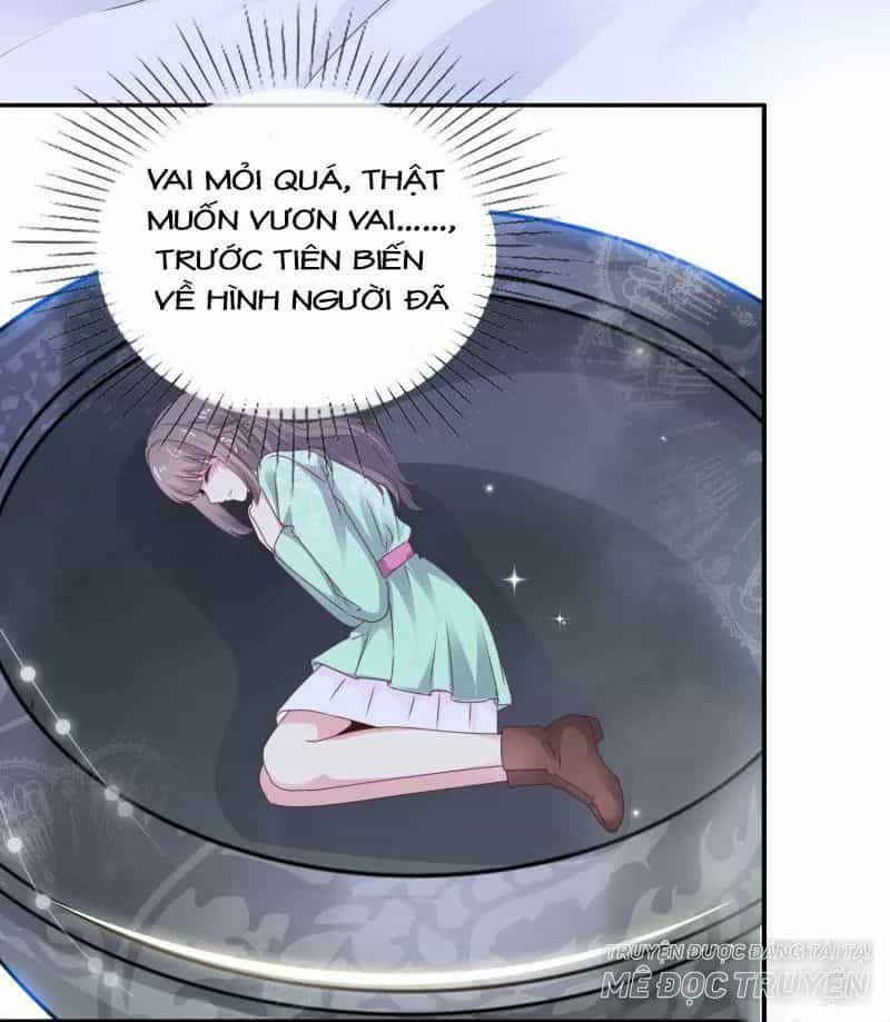 Bồn Nhiên Tinh Động - Chương 21 - ảnh 6