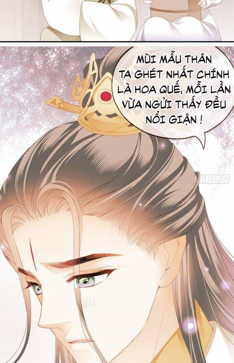 Bổn Vương Muốn Ngươi - Chương 17 - ảnh 25