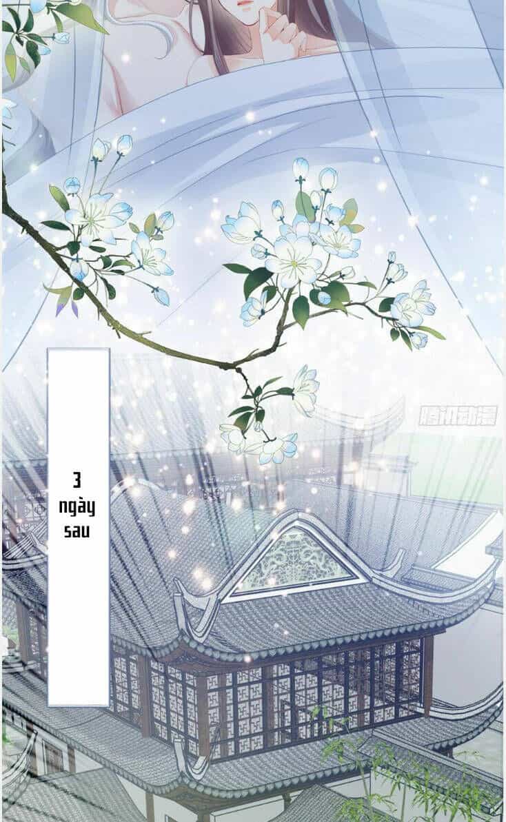 Bổn Vương Muốn Ngươi - Chương 189 - ảnh 29